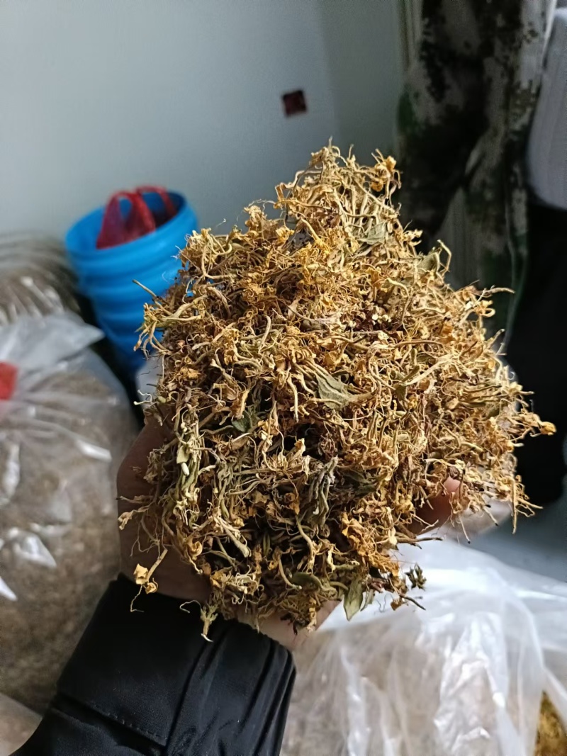（精品）贵州金银花/太阳晒干无硫/质量过关/全国发货