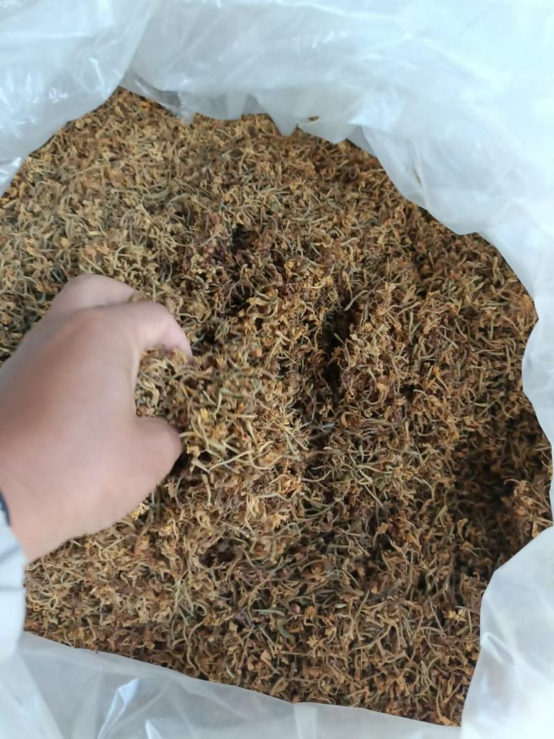 （精品）贵州金银花/太阳晒干无硫/质量过关/全国发货