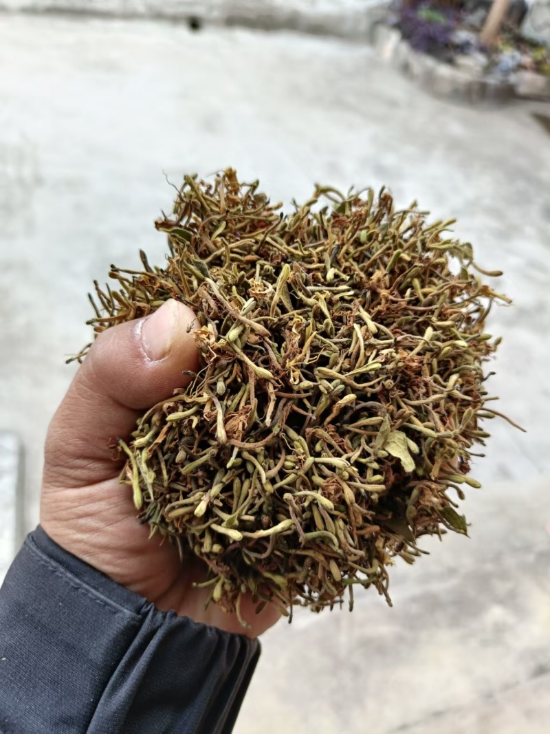 （精品）贵州金银花/太阳晒干无硫/质量过关/全国发货