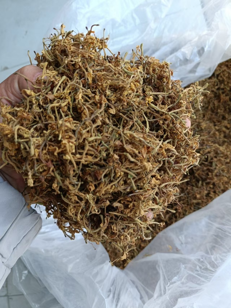 （精品）贵州金银花/太阳晒干无硫/质量过关/全国发货