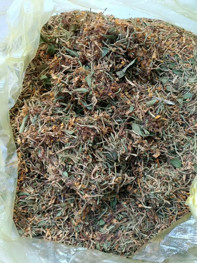 （精品）贵州金银花/太阳晒干无硫/质量过关/全国发货