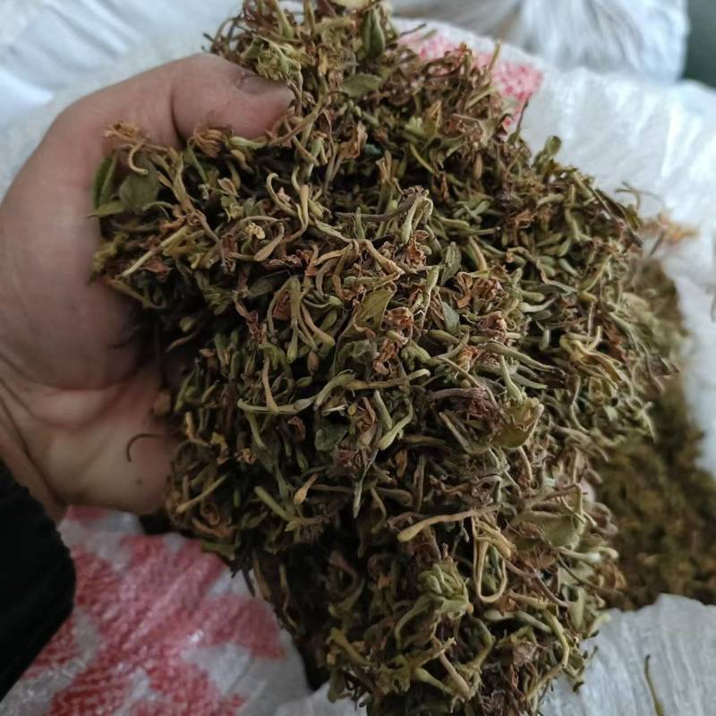 （精品）贵州金银花/太阳晒干无硫/质量过关/全国发货