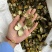 四花青皮青皮橘子皮小四花青皮新货四花青实物拍摄