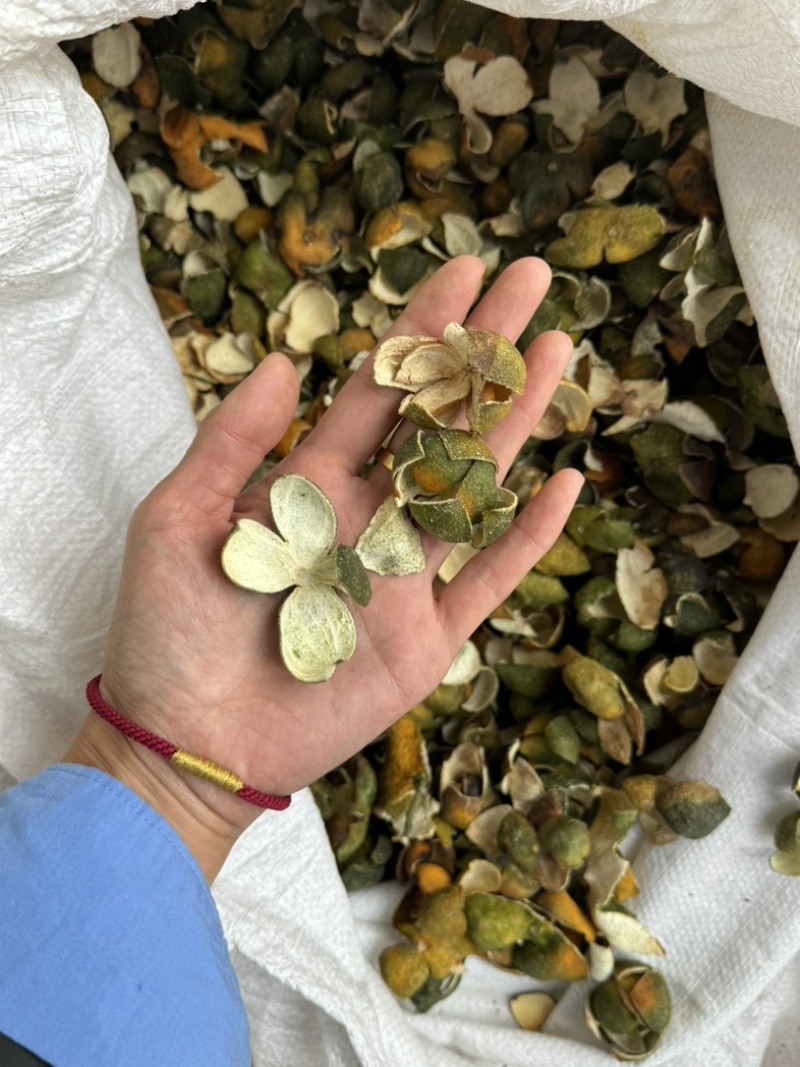 四花青皮青皮橘子皮小四花青皮新货四花青实物拍摄