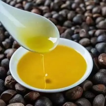 现榨现卖山茶油
