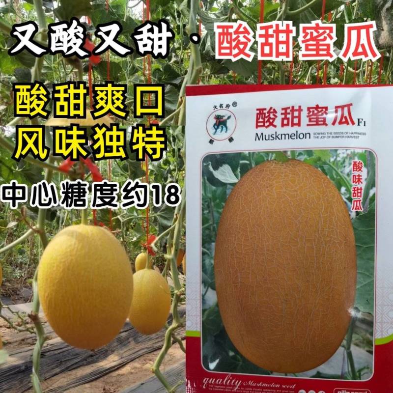 酸甜蜜瓜甜瓜种子酸味多汁甜瓜香瓜黄皮网纹哈密瓜水果种子籽