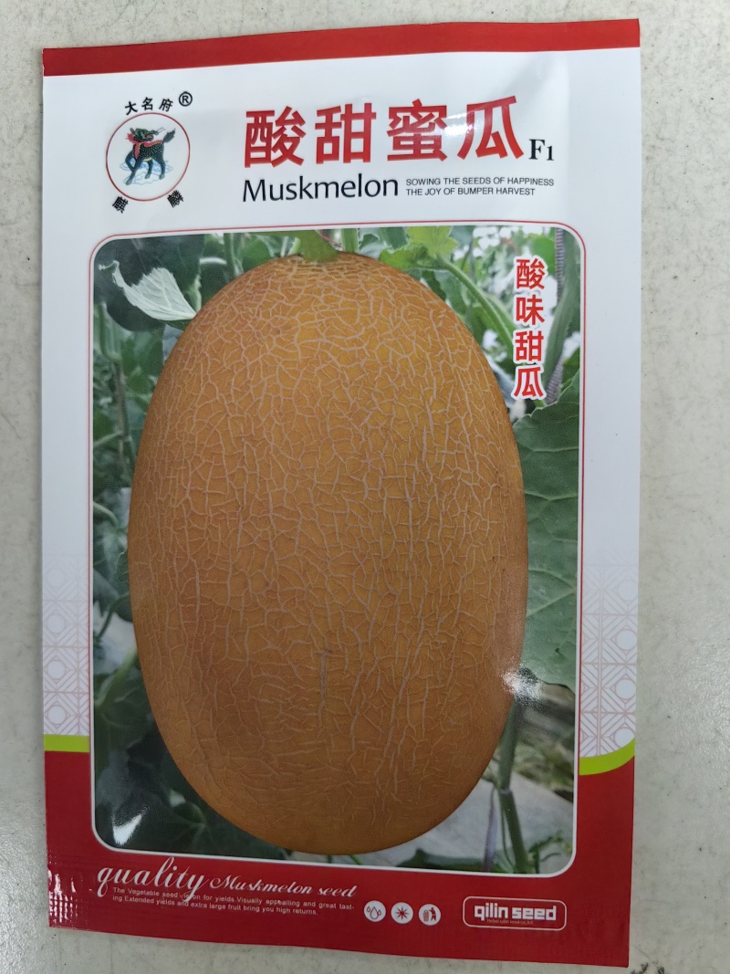 酸甜蜜瓜甜瓜种子酸味多汁甜瓜香瓜黄皮网纹哈密瓜水果种子籽