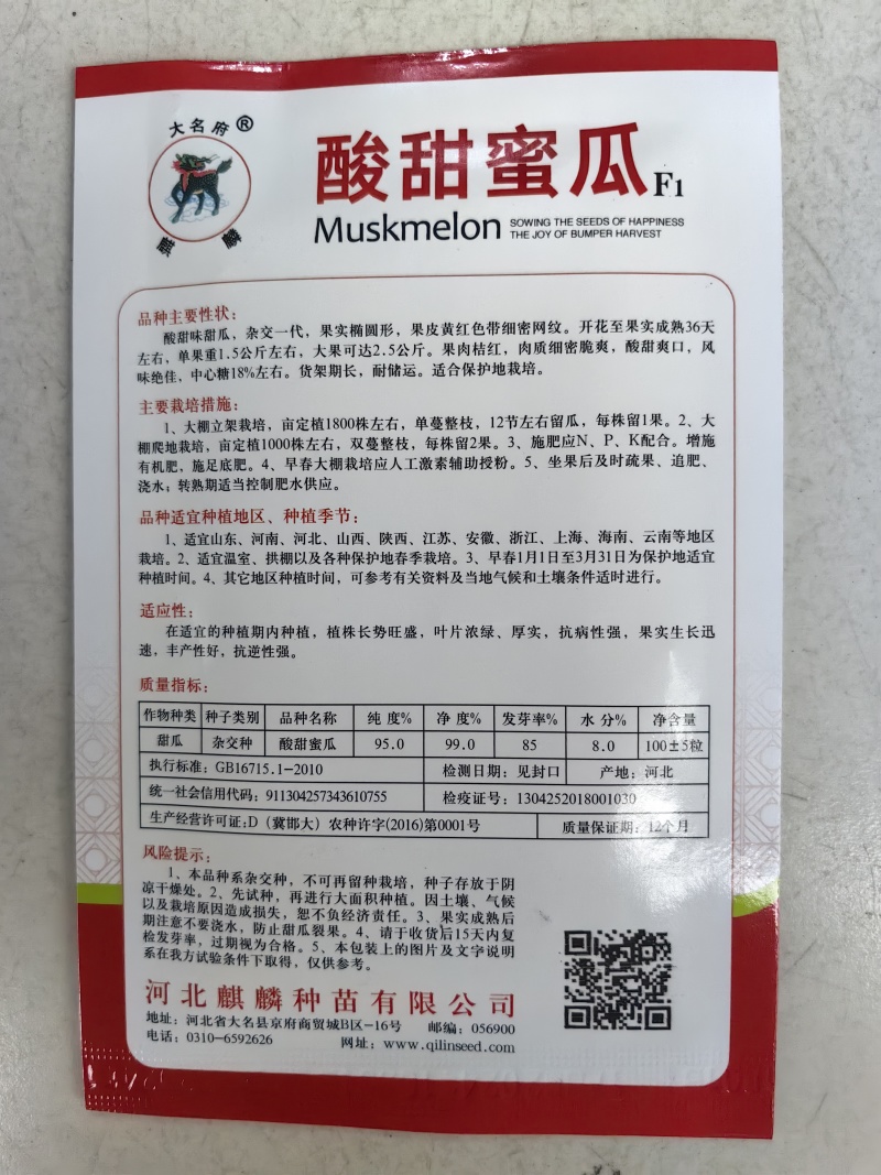 酸甜蜜瓜甜瓜种子酸味多汁甜瓜香瓜黄皮网纹哈密瓜水果种子籽