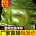整颗海带,完整海带,源头厂家,批发代工,免费样品。