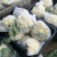菜花，小米粒散花，白面青梗，全国代发保质保量，