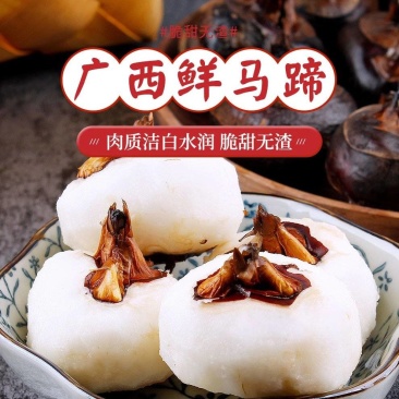 马蹄广西特大马蹄新鲜荸荠水果农家马蹄即食