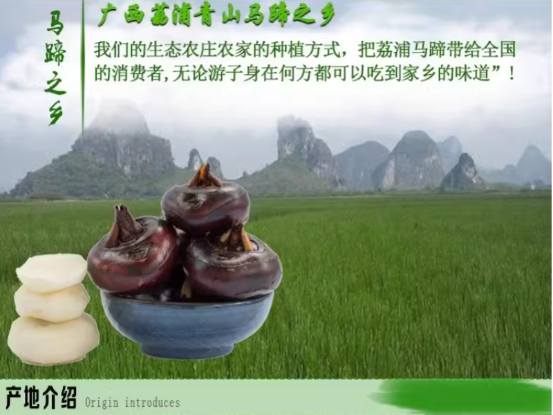 马蹄广西特大马蹄新鲜荸荠水果农家马蹄即食
