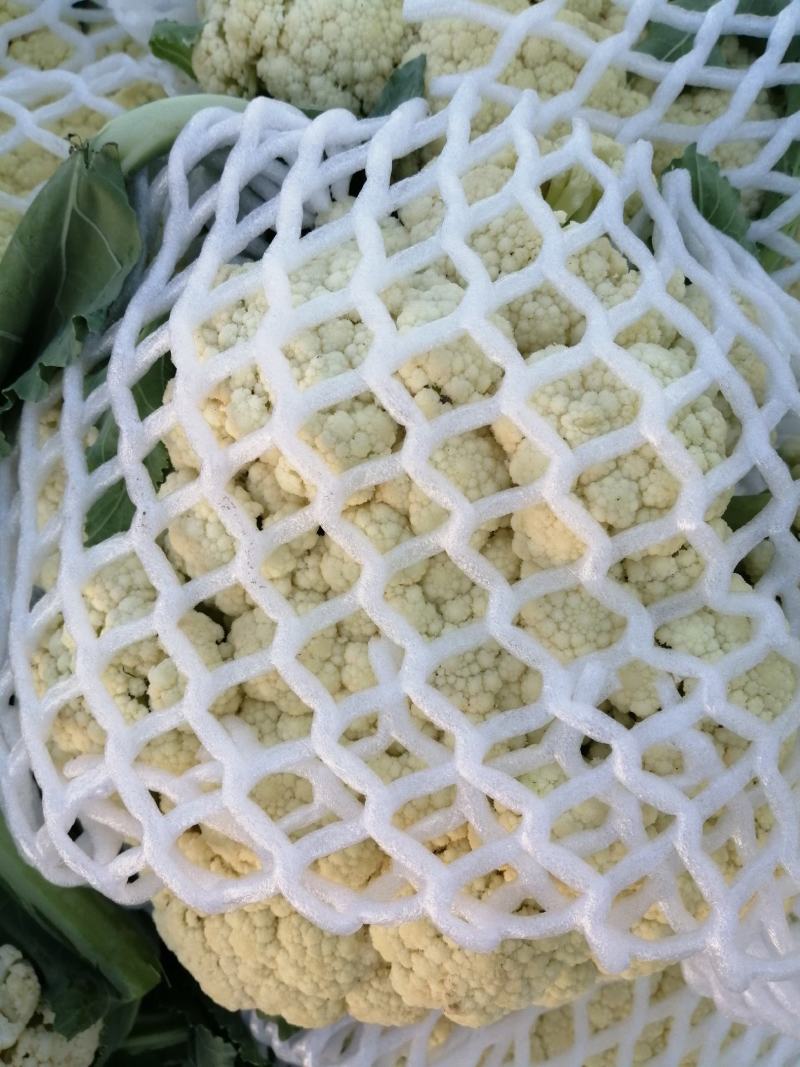 菜花，小米粒，散花，全面青梗，全国代发保质保量