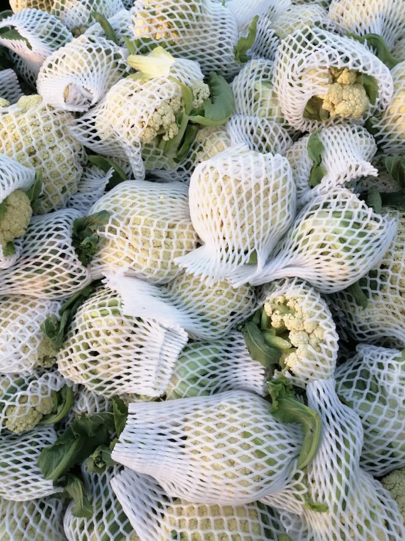 菜花，小米粒，散花，全面青梗，全国代发保质保量