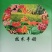 水溶肥生根壮苗促长粮食作物蔬菜瓜果花卉绿植