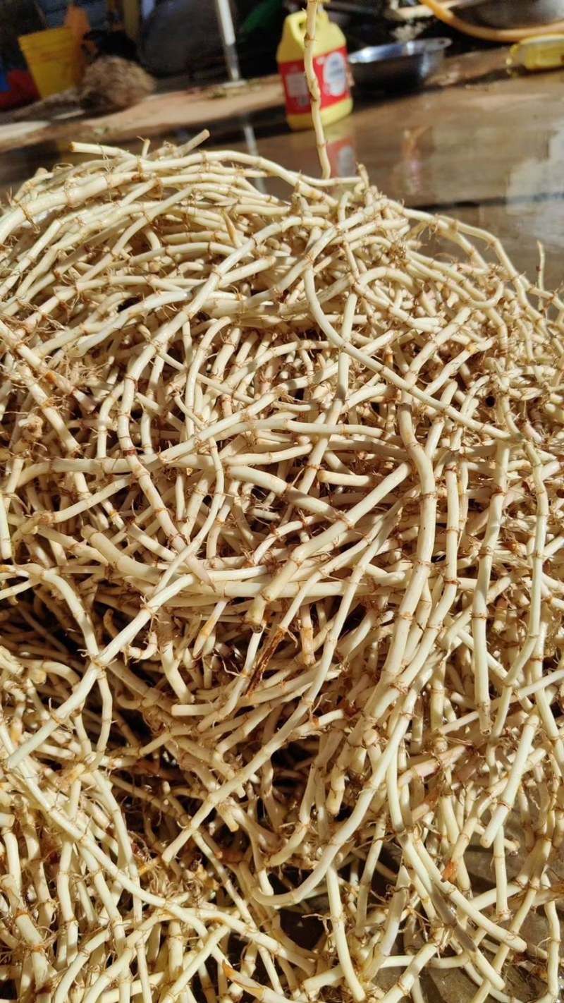 精品鱼腥草，产地直发全年供货