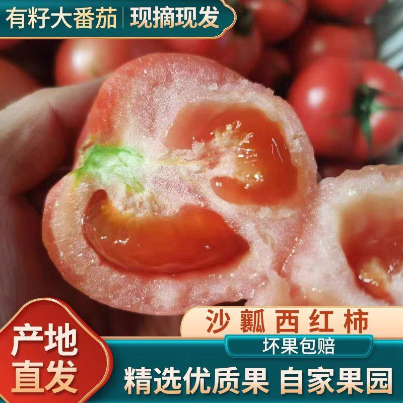 【硬粉西红柿】山东西红柿/产地货源/供应电商市场