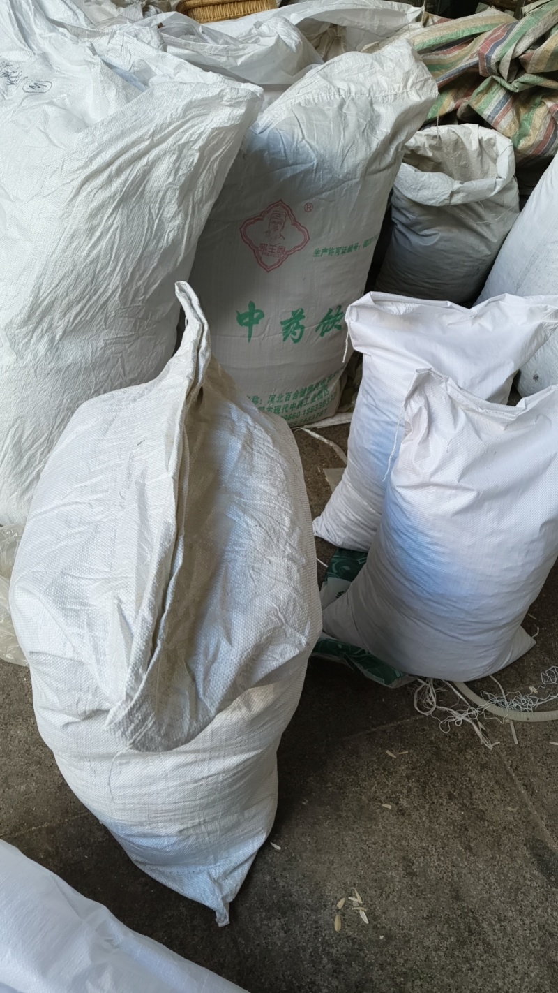 白术生白术炒白术规格齐全