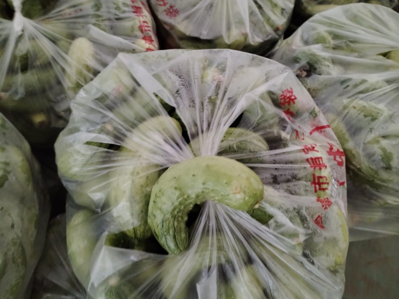 湖北随州，大量出售代装绿茄子，代装黄瓜，产量大，价格便宜