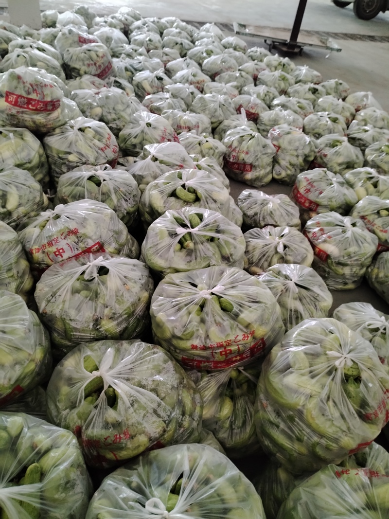 湖北随州，大量出售代装绿茄子，代装黄瓜，产量大，价格便宜