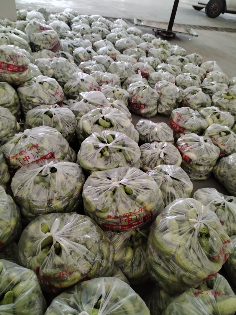 湖北随州，大量出售代装绿茄子，代装黄瓜，产量大，价格便宜