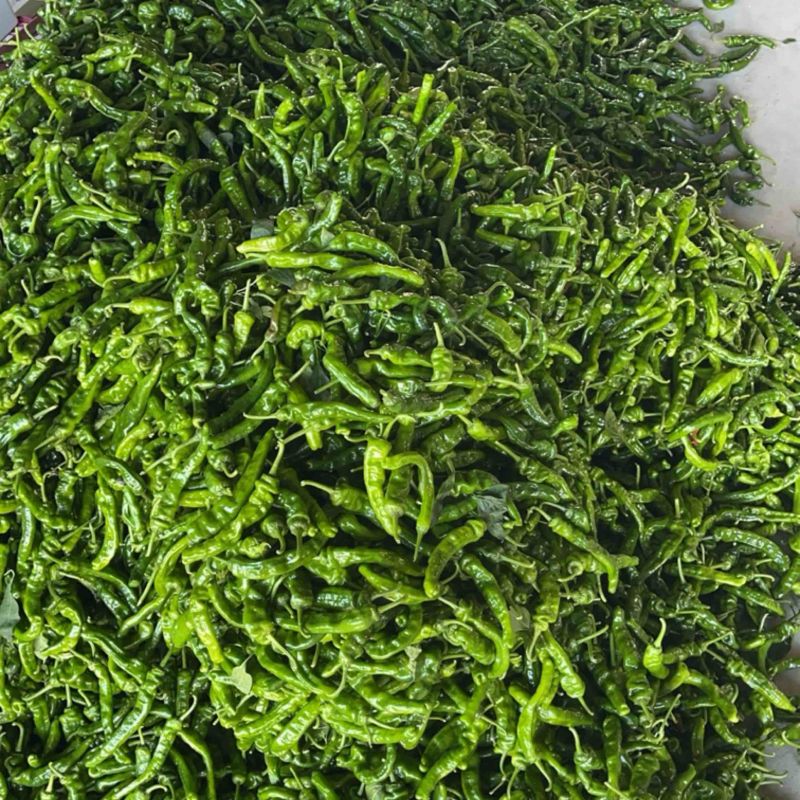 小皱皮大量上市，欢迎各位老板采购
