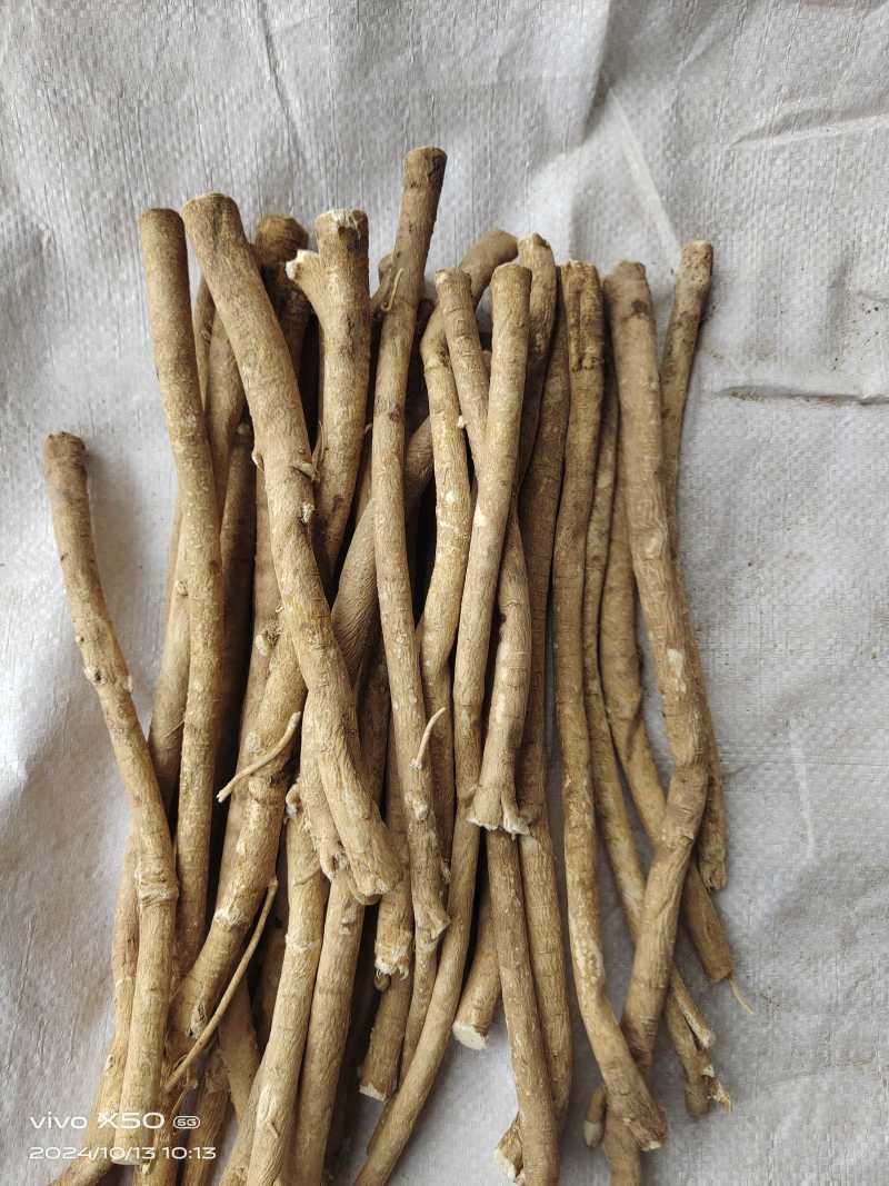 特级黄芪条1.5以上