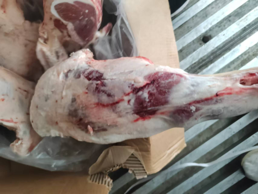 展示白条羊肉的不同切割部位,如羊腿、羊肩、羊排,并标注名称与适合的烹饪方式 白条羊肉的不同部位切割图示