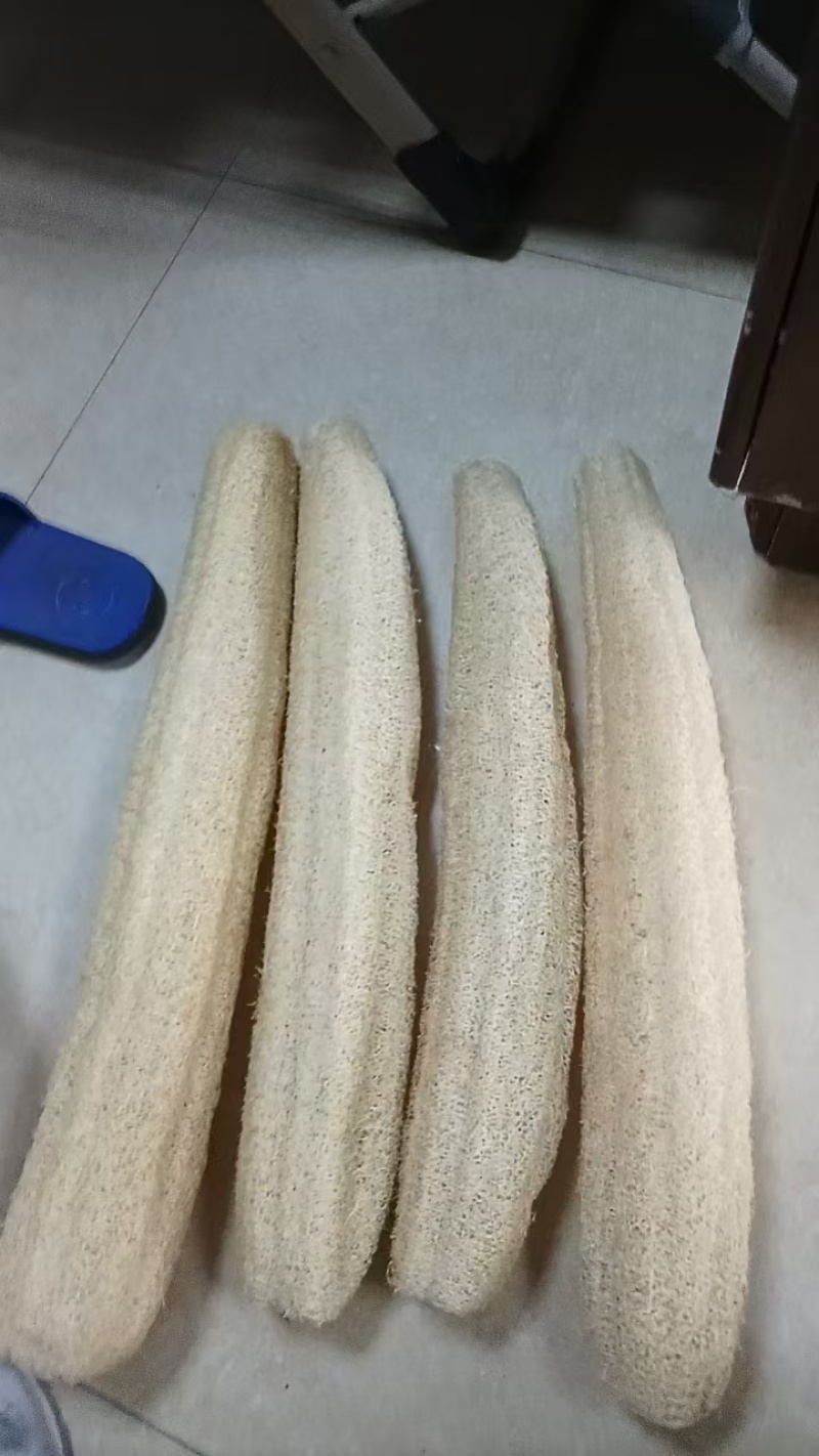 求购丝瓜瓤