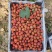 山东大金星山楂。打浆果。切片果。商品果。电商果。产地直发
