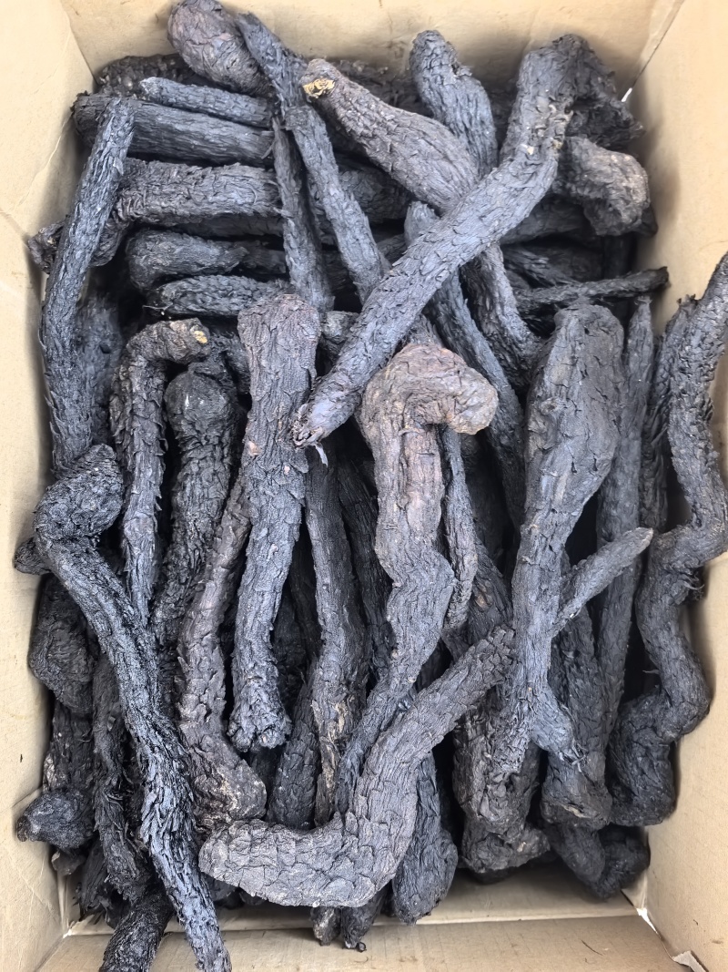 中药材批发供应肉苁蓉软大芸软质肉苁蓉片甜肉苁蓉