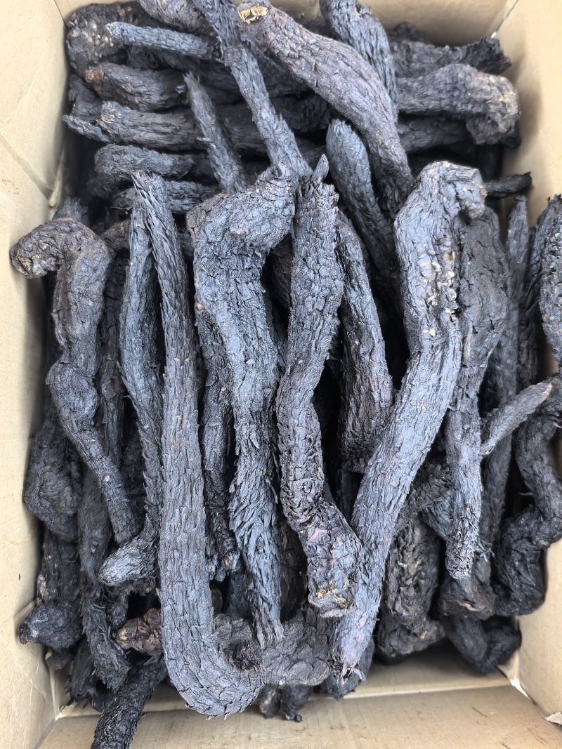 中药材批发供应肉苁蓉软大芸软质肉苁蓉片甜肉苁蓉