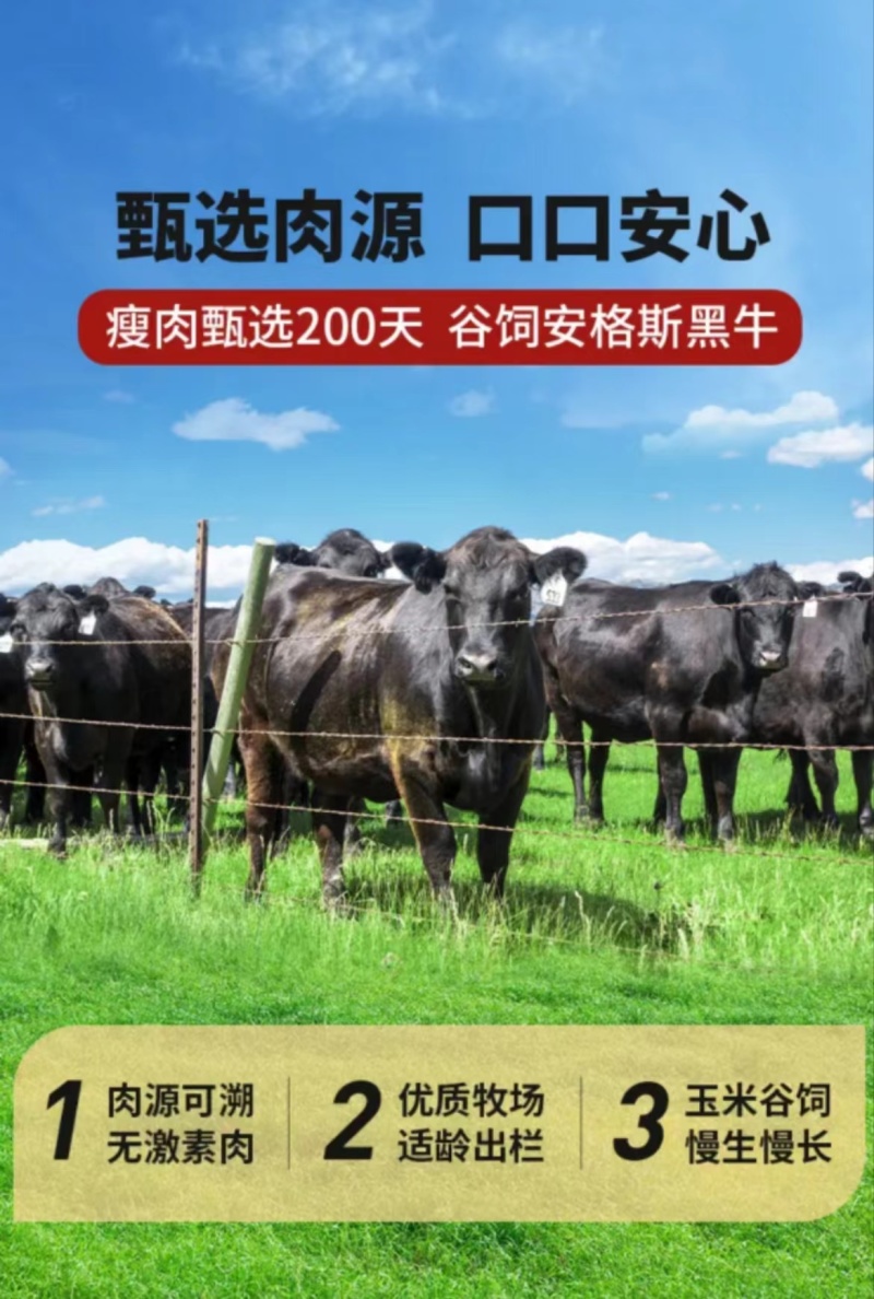 君栀禾-牛肉爆汁烤肠0添
