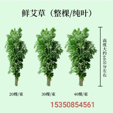 艾草叶新鲜端午节野生干艾叶产后月子泡脚泡澡药包驱蚊整颗挂