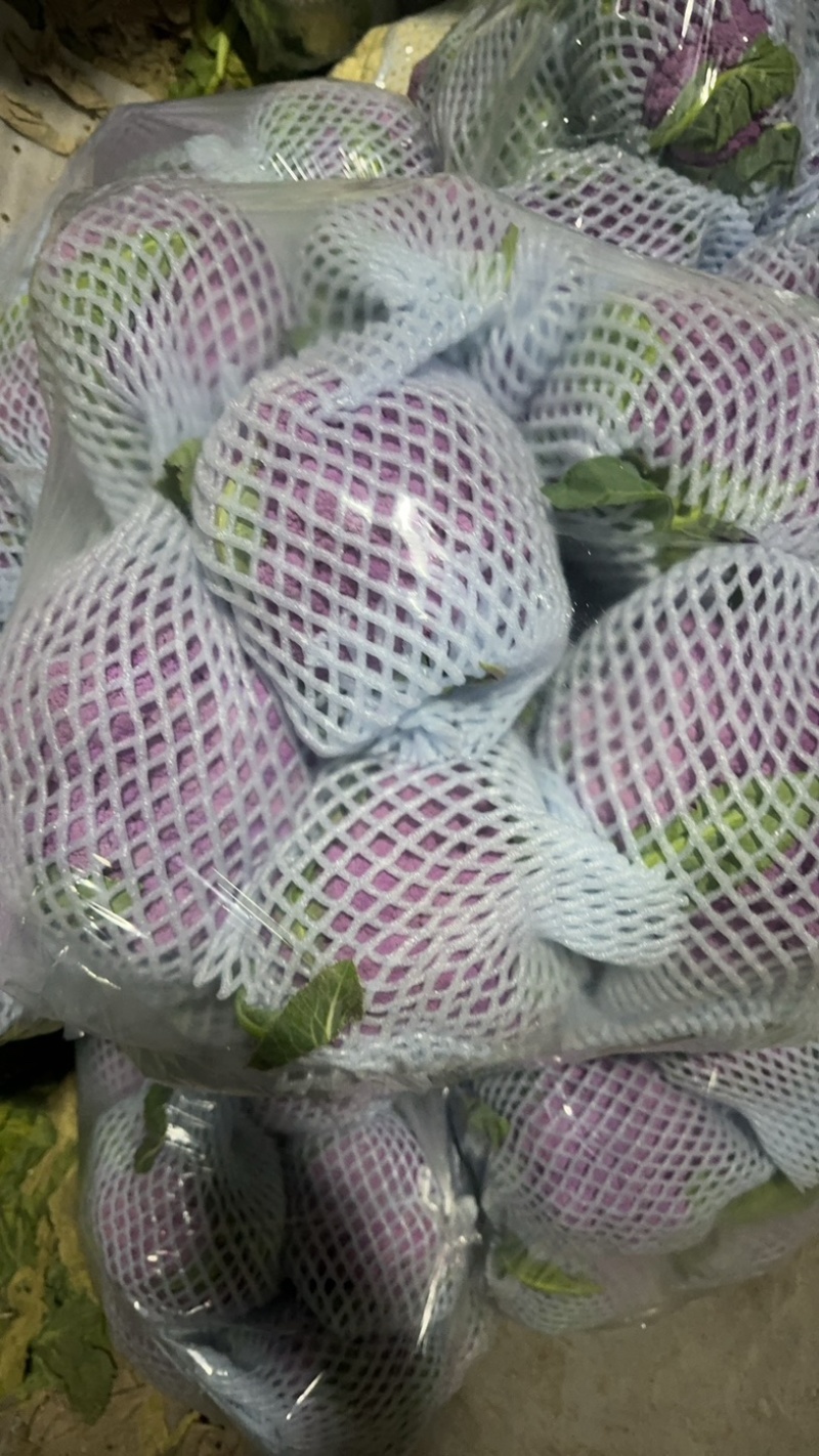 红色菜花大量上市🈶需要联系