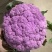 红色菜花大量上市🈶需要联系