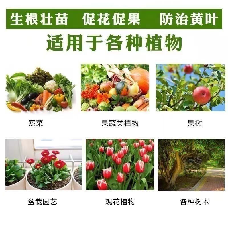 硫酸钾生根壮苗土壤改良农业种植高含量水溶性硫酸钾