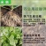 硫酸钾生根壮苗土壤改良农业种植高含量水溶性硫酸钾
