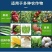 高品质硝酸铵钙颗粒全水溶硝酸铵钙复合肥农业瓜果蔬菜氮肥