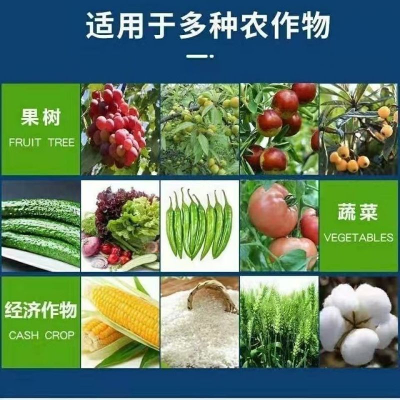 高品质硝酸铵钙颗粒全水溶硝酸铵钙复合肥农业瓜果蔬菜氮肥