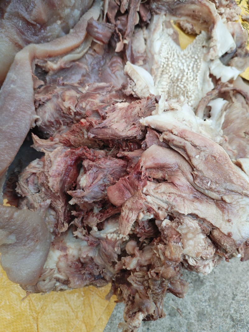 牛头肉清真牛头肉，全熟牛头肉，50斤起发货！水采毛