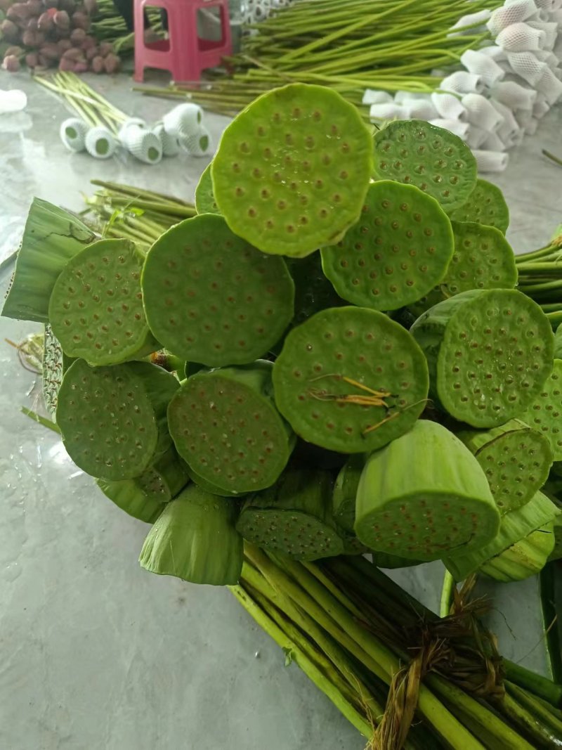 新鲜莲蓬带籽长杆自制干花花束装饰个性20朵