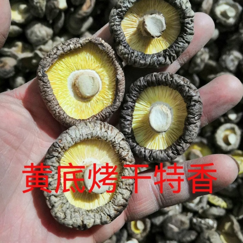 香菇批发散装净重干货禾珍味香菇商用黄焖鸡特价退货包运费