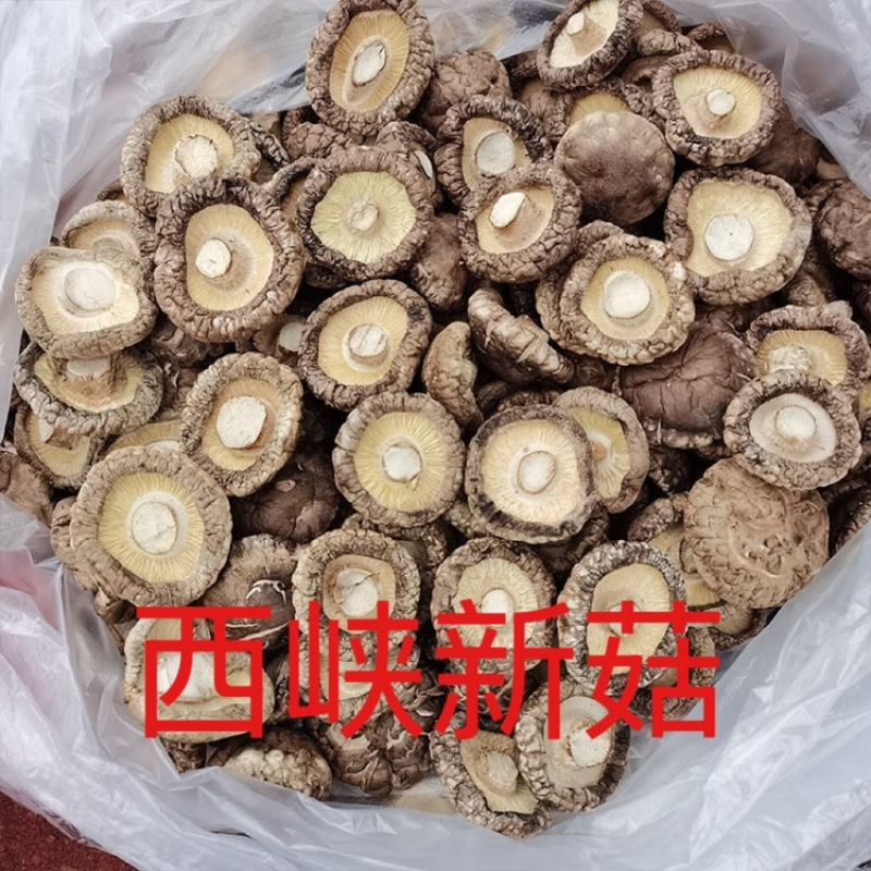 香菇批发散装净重干货禾珍味香菇商用黄焖鸡特价退货包运费