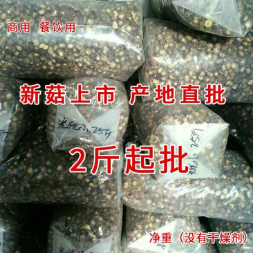 干香菇餐饮饭店黄焖鸡米饭专用西峡香菇短柄肉厚特香西峡香菇