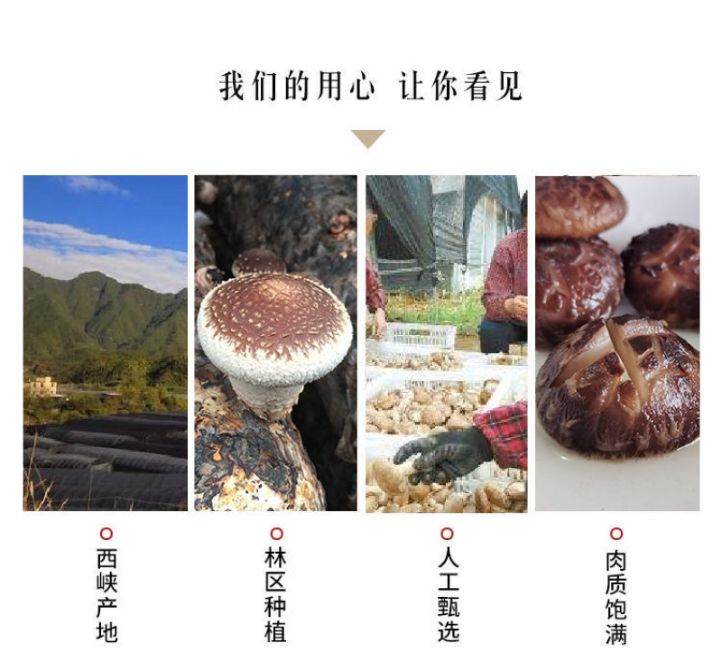 干香菇餐饮饭店黄焖鸡米饭专用西峡香菇短柄肉厚特香西峡香菇