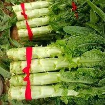 新野莴笋产地诚信为本常年供应各种季节性蔬菜