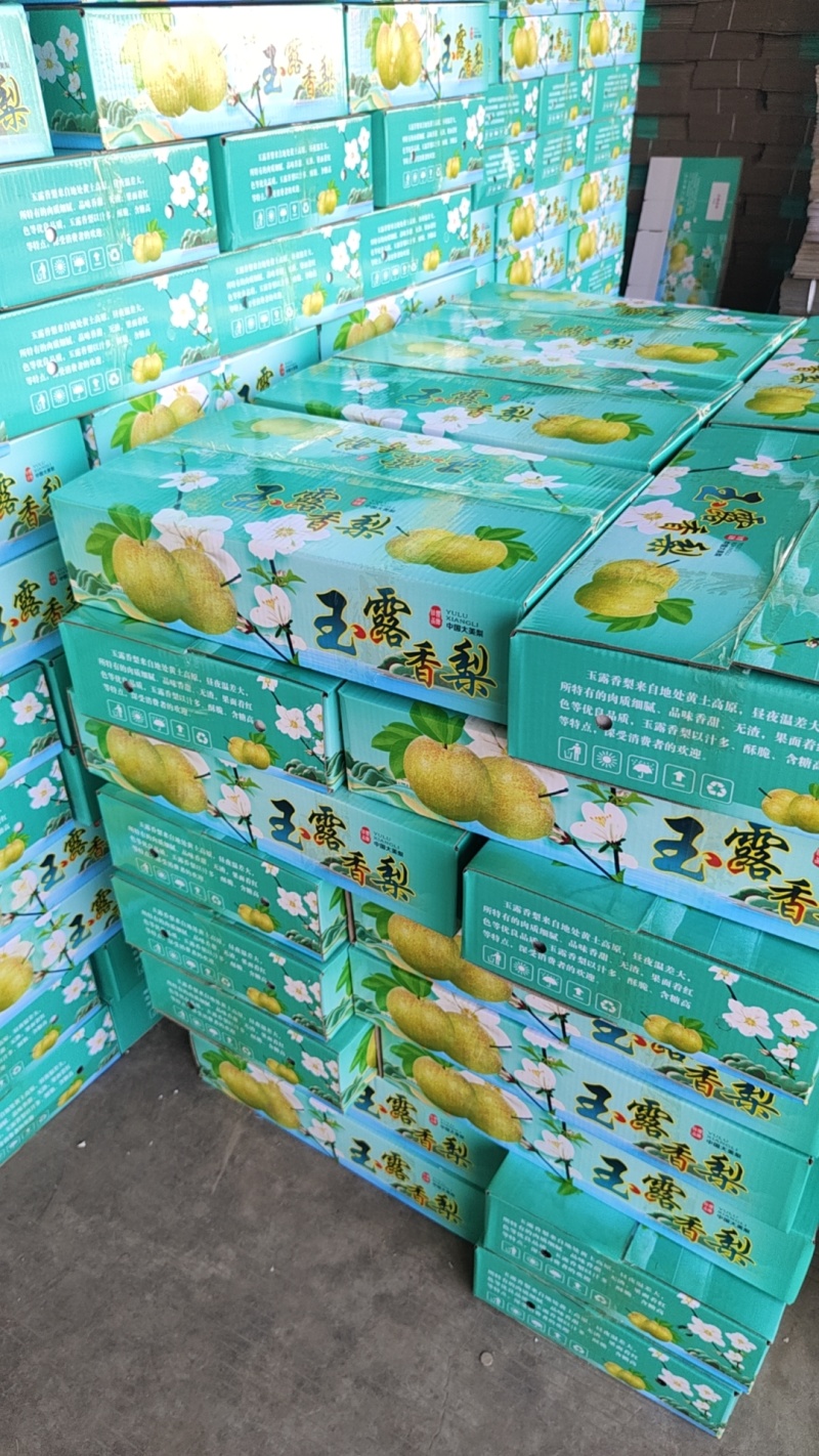 山西运城玉露香梨大量出库中，一，二，高次各种规格质量都有