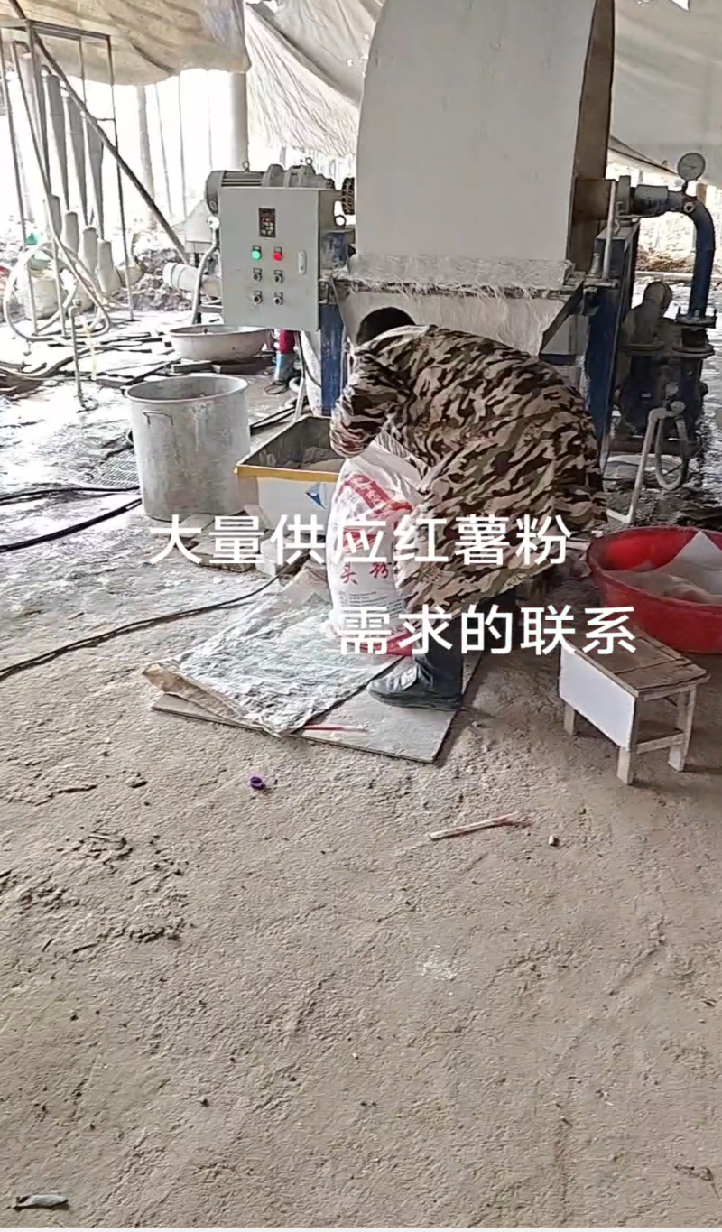 纯红薯粉