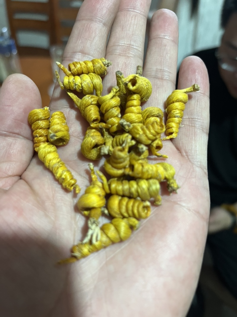 霍山铁皮石斛正宗霍山铁皮石斛霍山原产地发货批发一件代发
